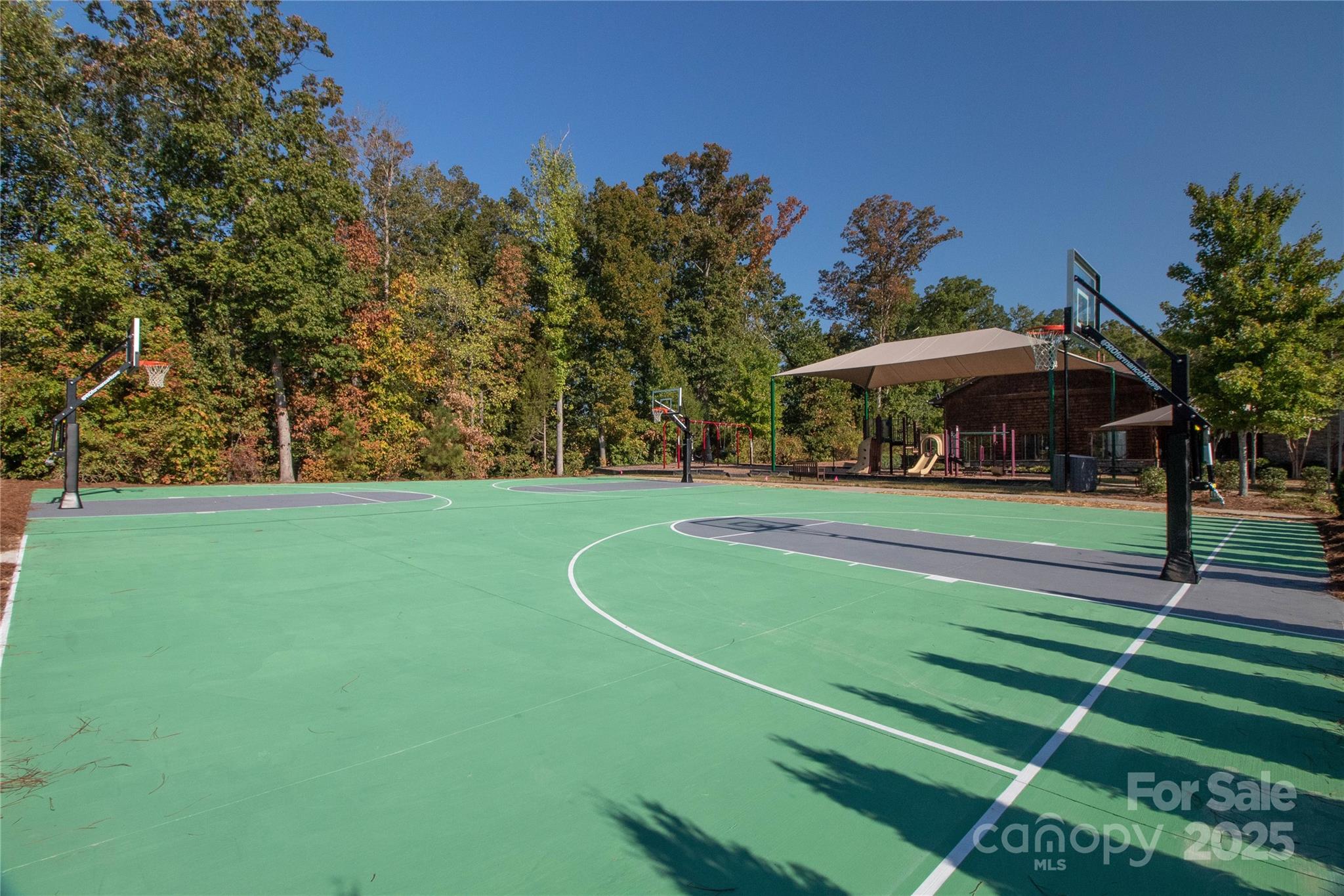 330 Forsythia Lane Fort Mill, SC 29708 - Photo 43 of 47