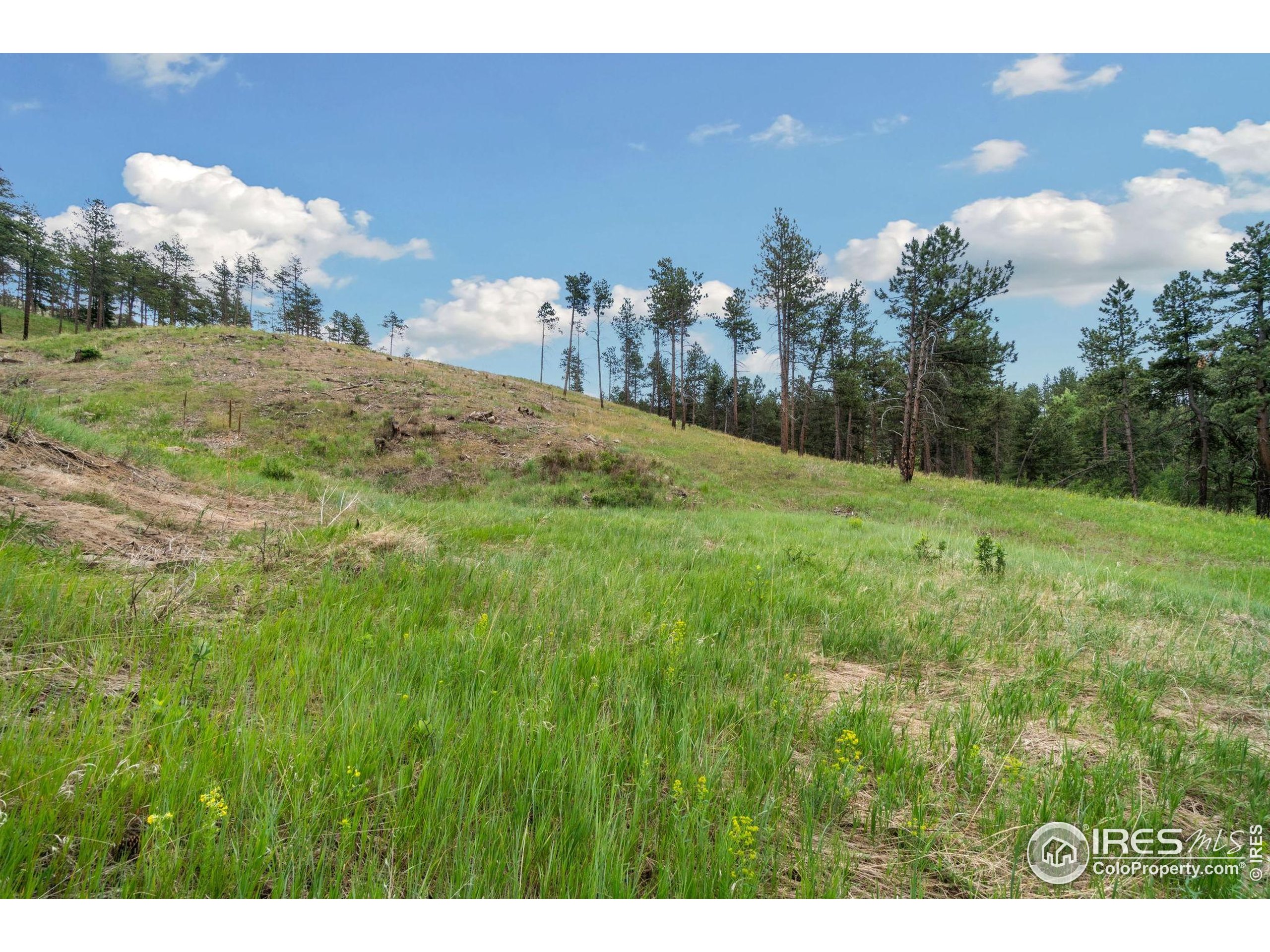 620 Davis Ranch Road Bellvue, CO 80512 - Photo 15 of 15 a view of a big yard