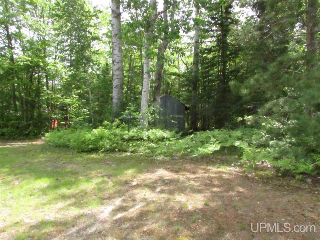 N12426 Driggs River Road Seney, MI 49883 - Photo 8 of 74 Gallery Image 8