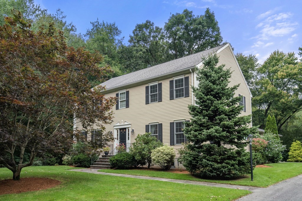 a view of a white house with a yard and potted plants and large tree