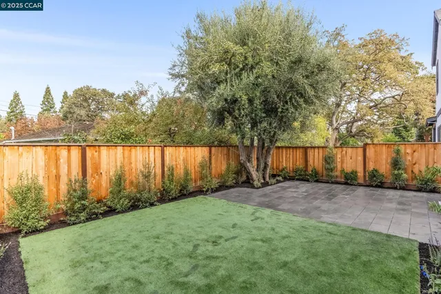 a view of a backyard with large trees
