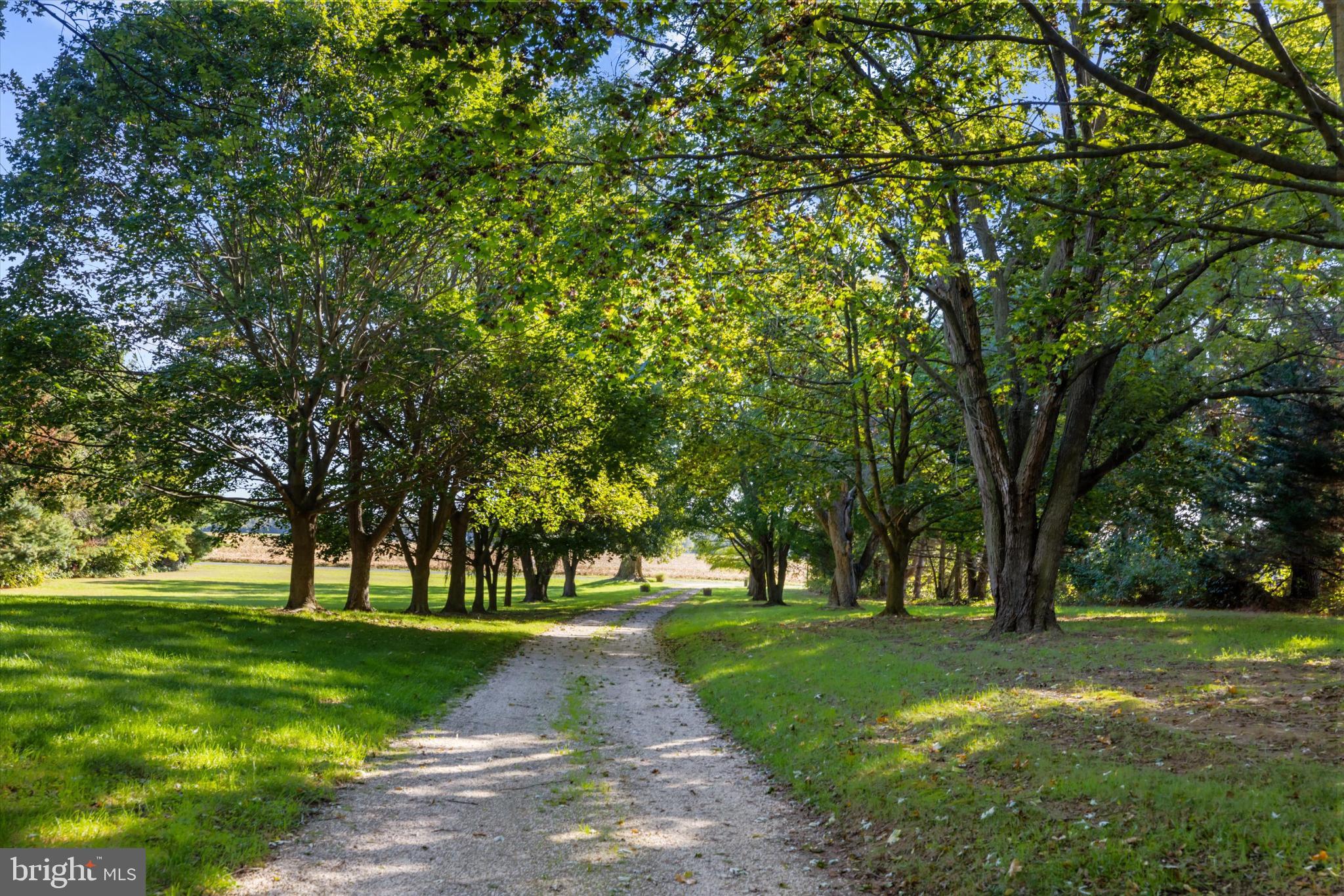 252 Granny Branch Road Church Hill, MD 21623 - Photo 58 of 75 Serene tree-lined path invites exploration.