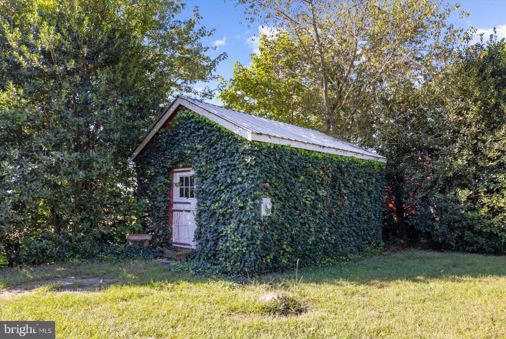 252 Granny Branch Road Church Hill, MD 21623 - Photo 62 of 75 Charming ivy-covered shed in lush greenery.