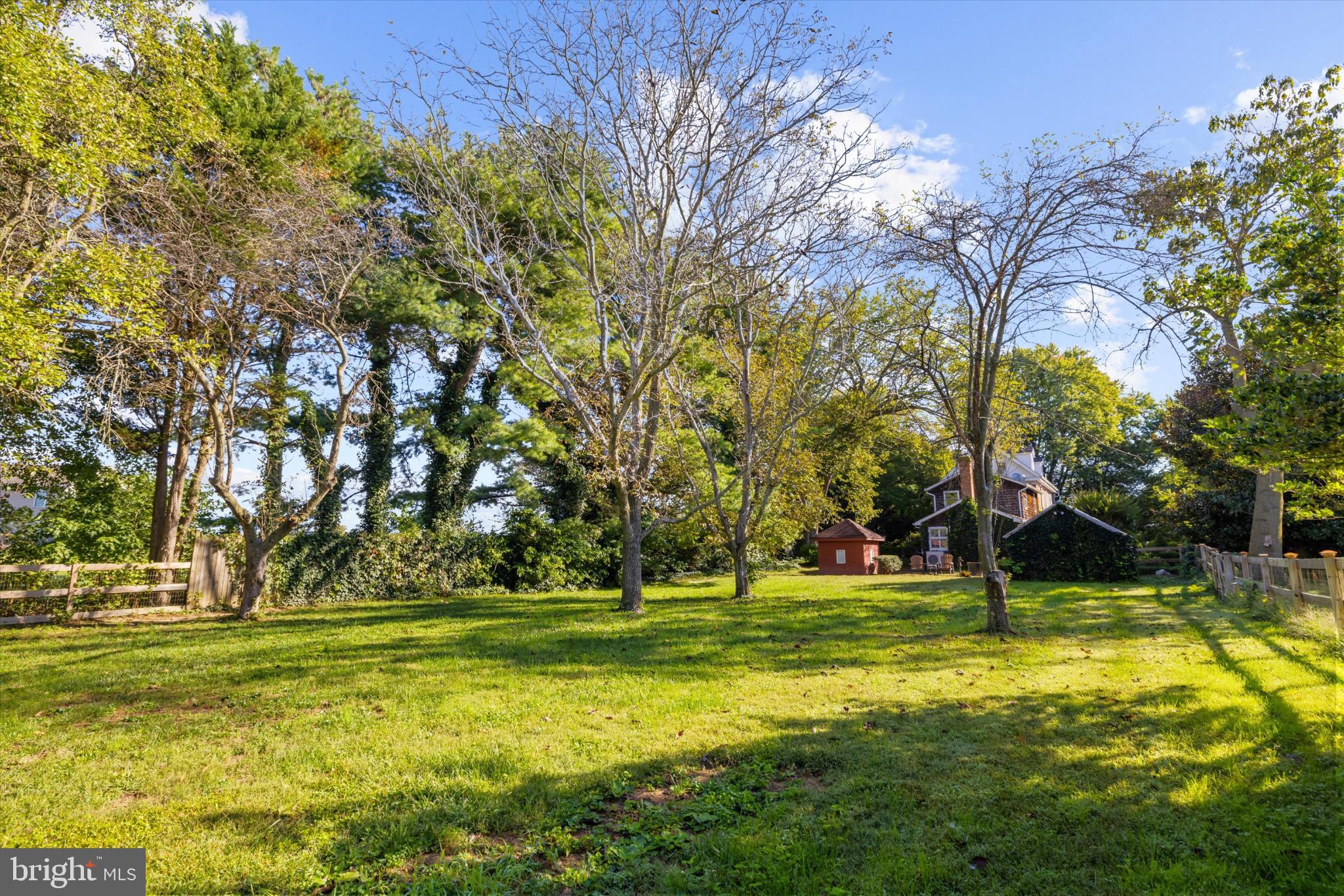 252 Granny Branch Road Church Hill, MD 21623 - Photo 69 of 75 Serene landscape with lush greenery and trees.