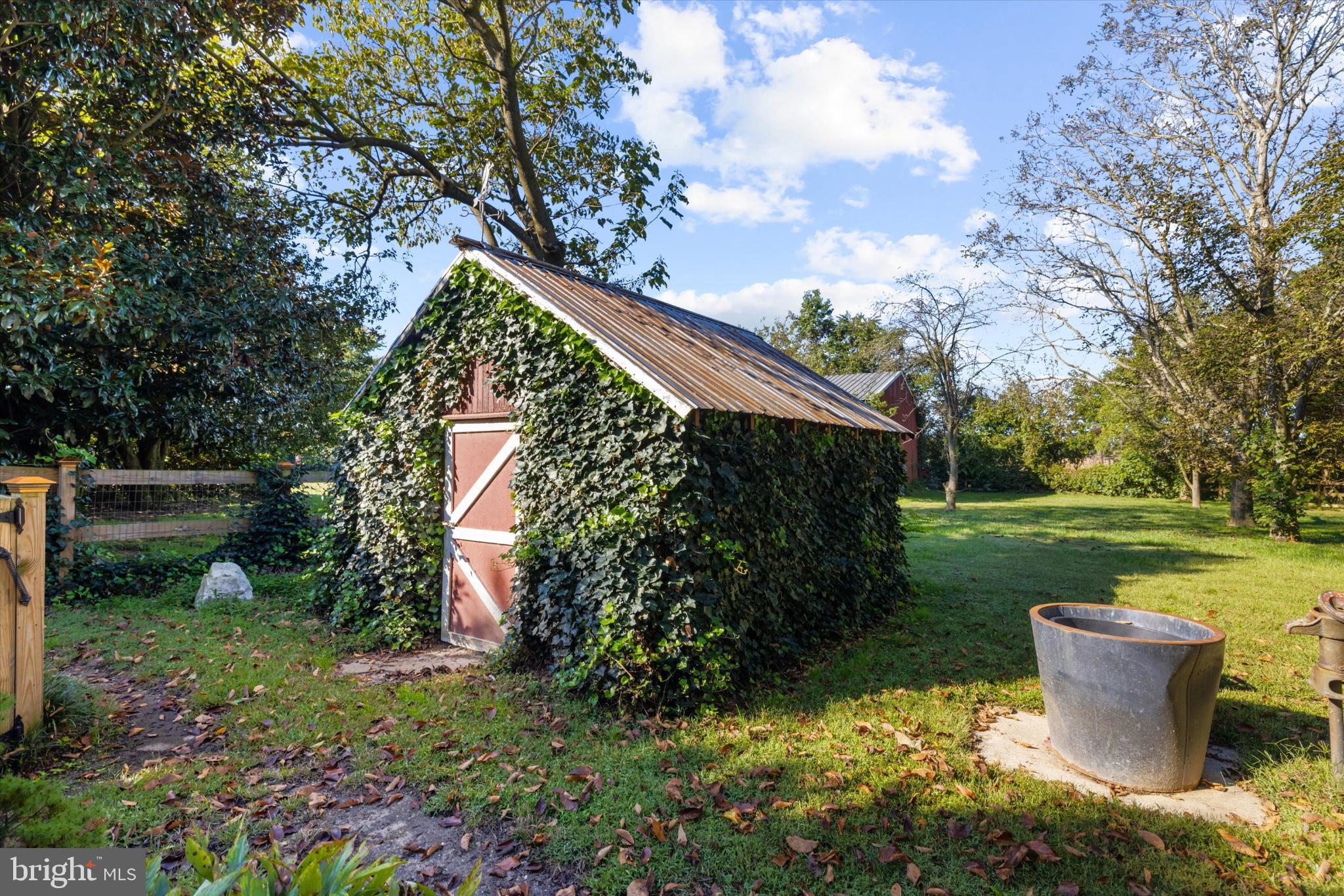 252 Granny Branch Road Church Hill, MD 21623 - Photo 7 of 75 Charming ivy-covered shed in serene garden.