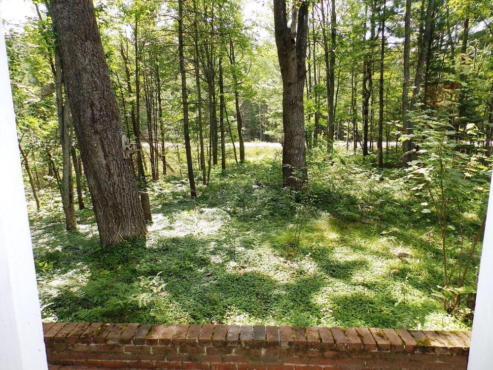 2188 Marlette Road Frederic, MI 49733 - Photo 3 of 29 Gallery Image 3