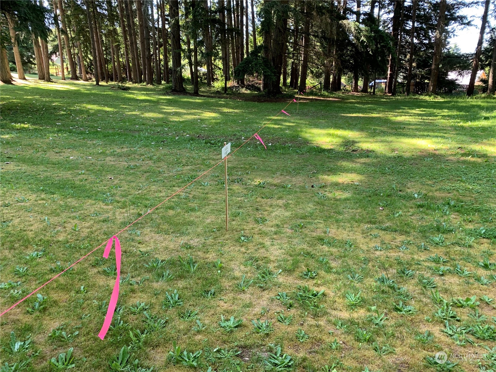 7755 Finch Road Northeast Bainbridge Island, WA 98110 - Photo 11 of 25 a backyard of a house with lots of green space and trees