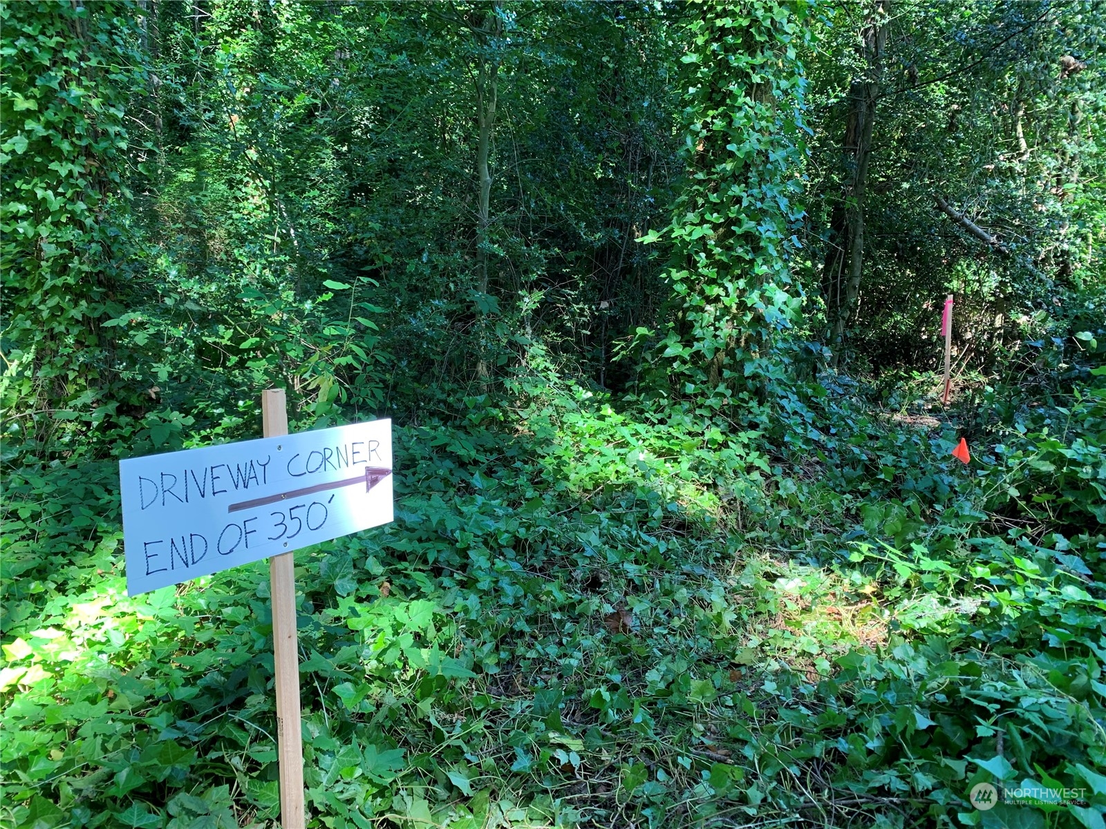 7755 Finch Road Northeast Bainbridge Island, WA 98110 - Photo 12 of 25 a view of a bench in a garden