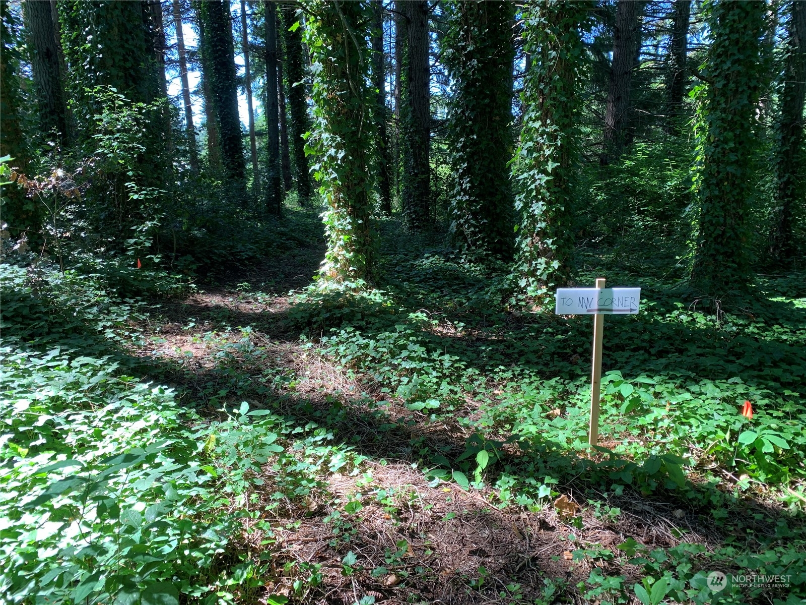 7755 Finch Road Northeast Bainbridge Island, WA 98110 - Photo 14 of 25