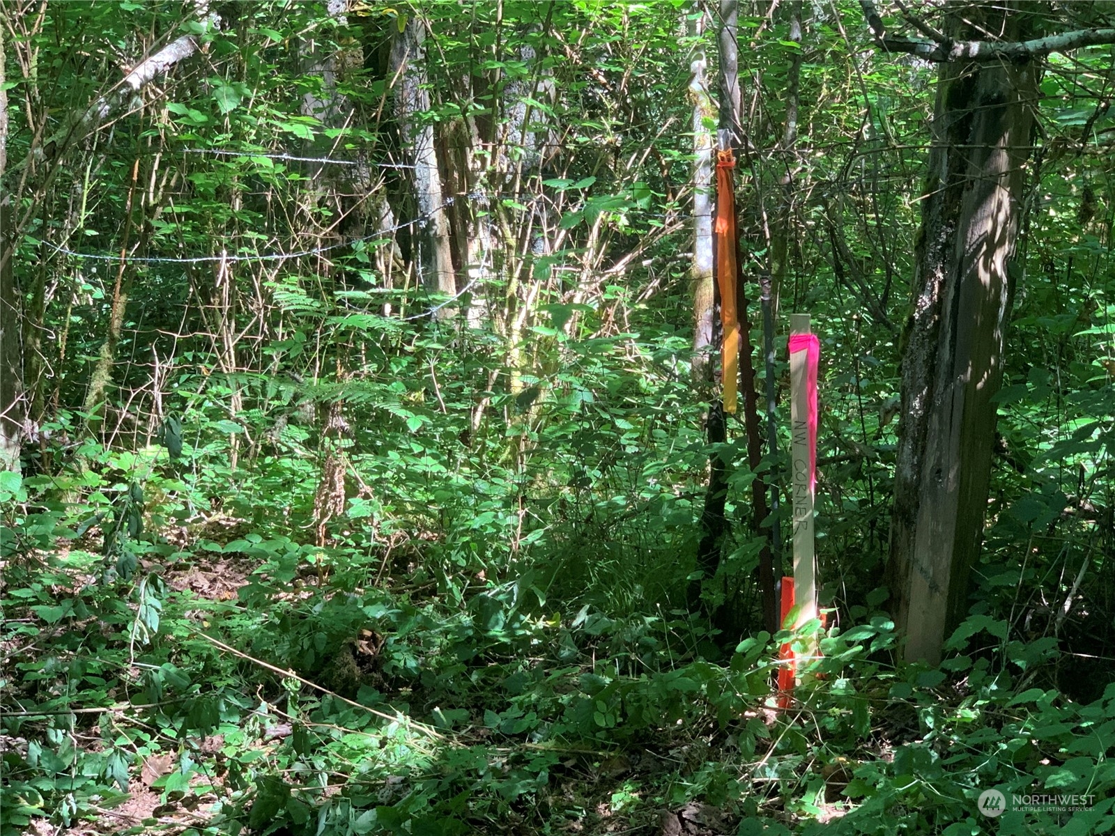 7755 Finch Road Northeast Bainbridge Island, WA 98110 - Photo 15 of 25