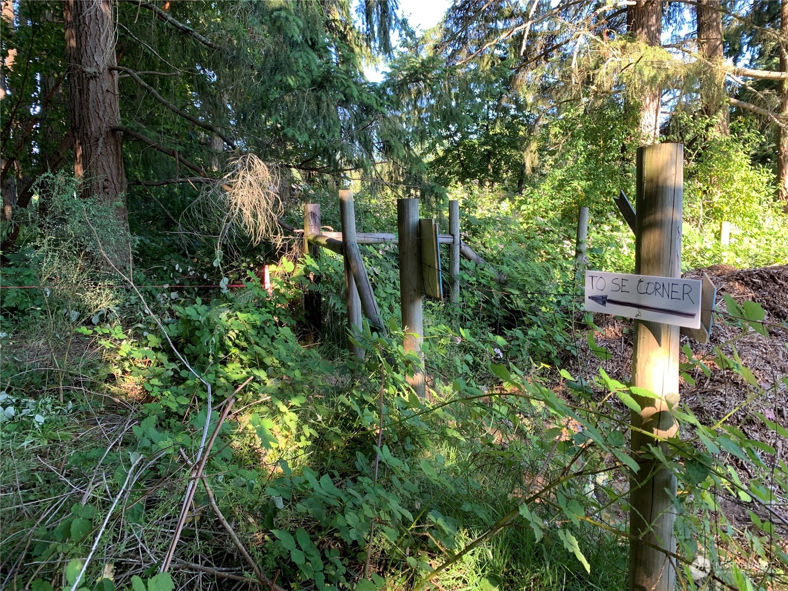 7755 Finch Road Northeast Bainbridge Island, WA 98110 - Photo 18 of 25 a view of a garden with plants