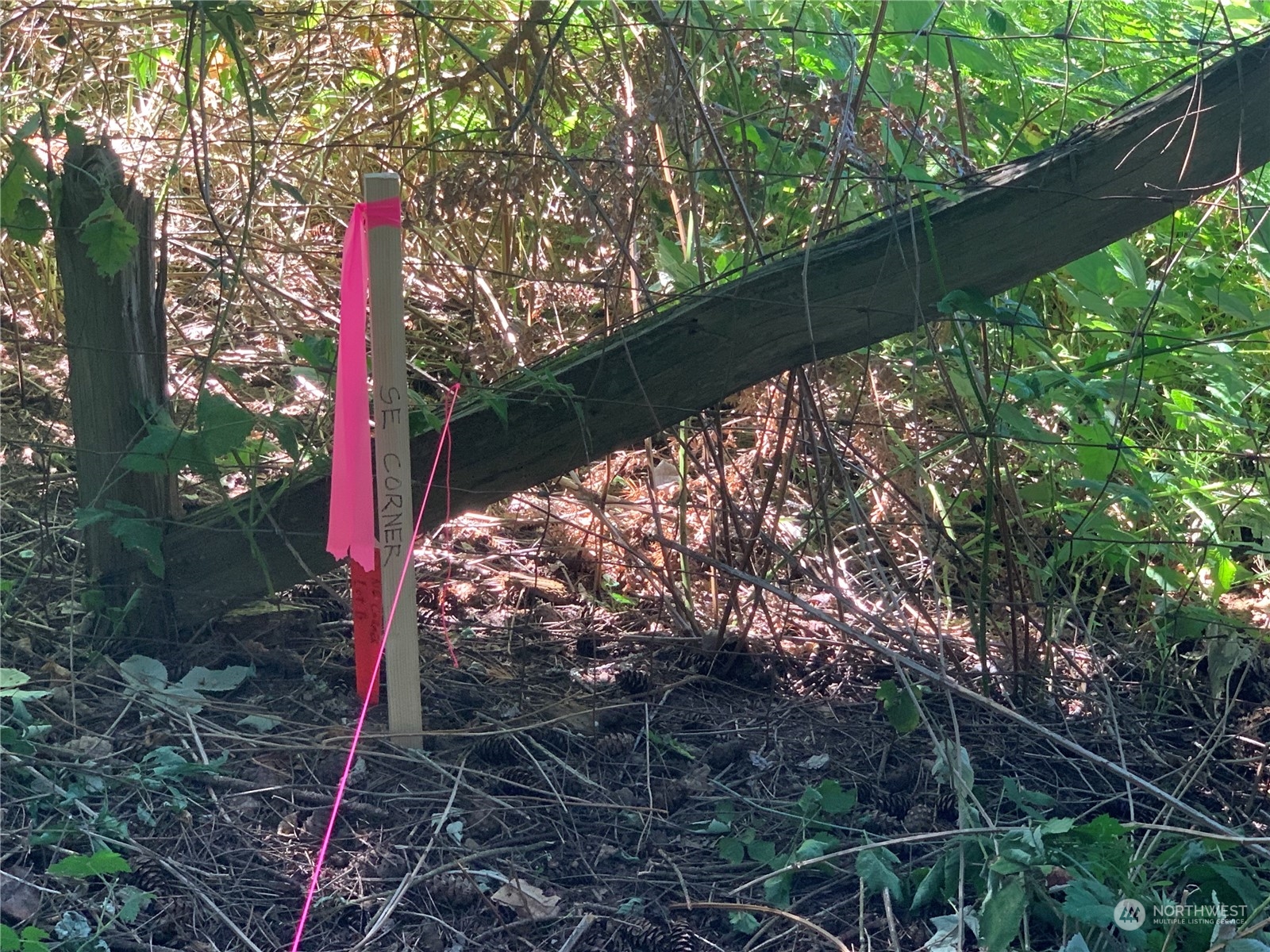 7755 Finch Road Northeast Bainbridge Island, WA 98110 - Photo 19 of 25