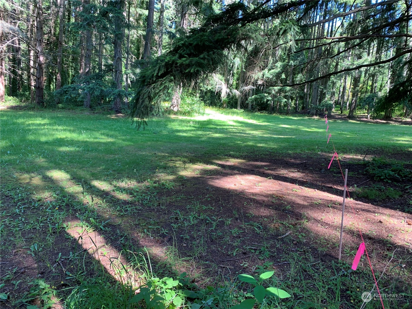 7755 Finch Road Northeast Bainbridge Island, WA 98110 - Photo 22 of 25 a view of a park with large trees