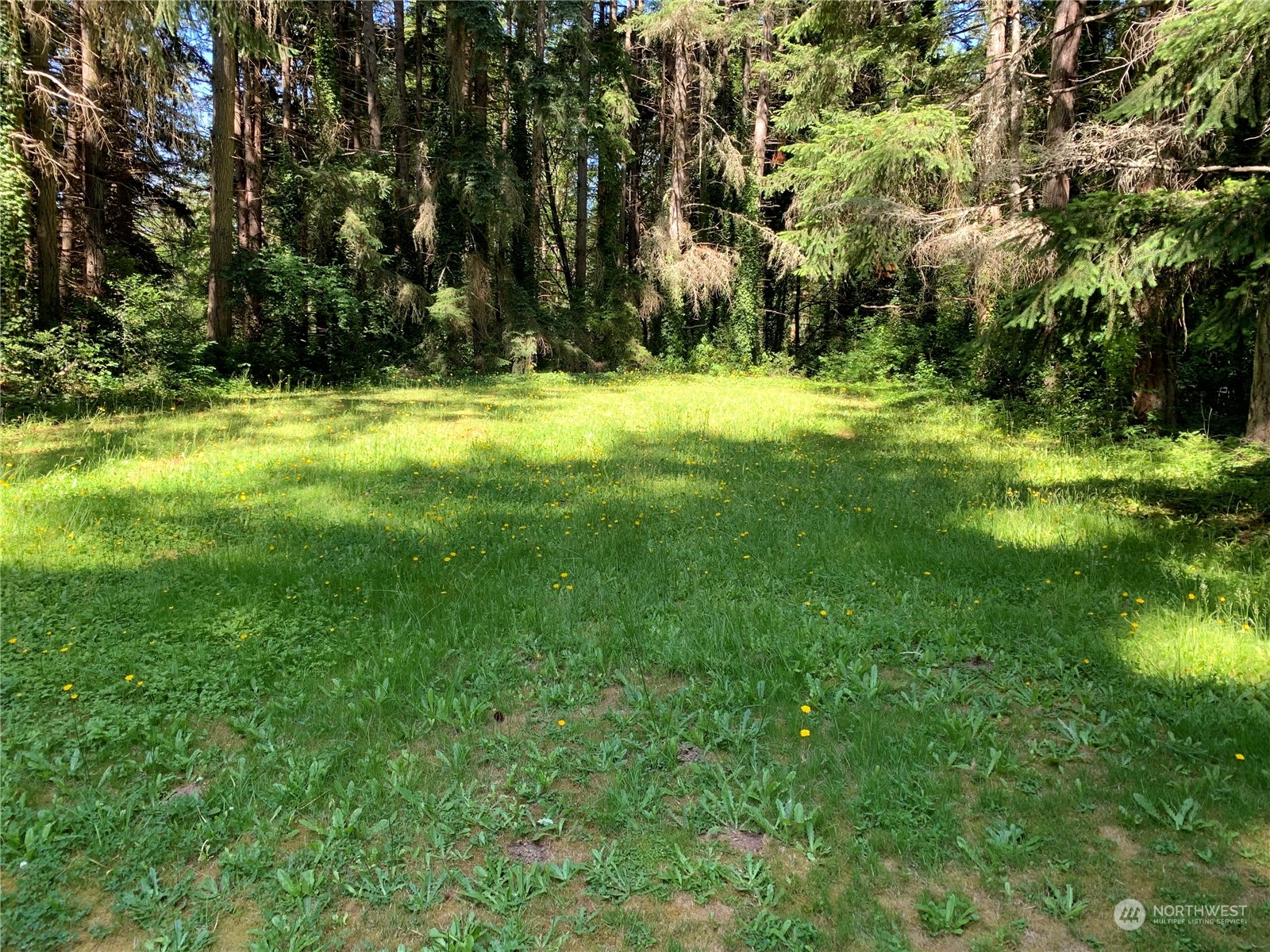 7755 Finch Road Northeast Bainbridge Island, WA 98110 - Photo 23 of 25