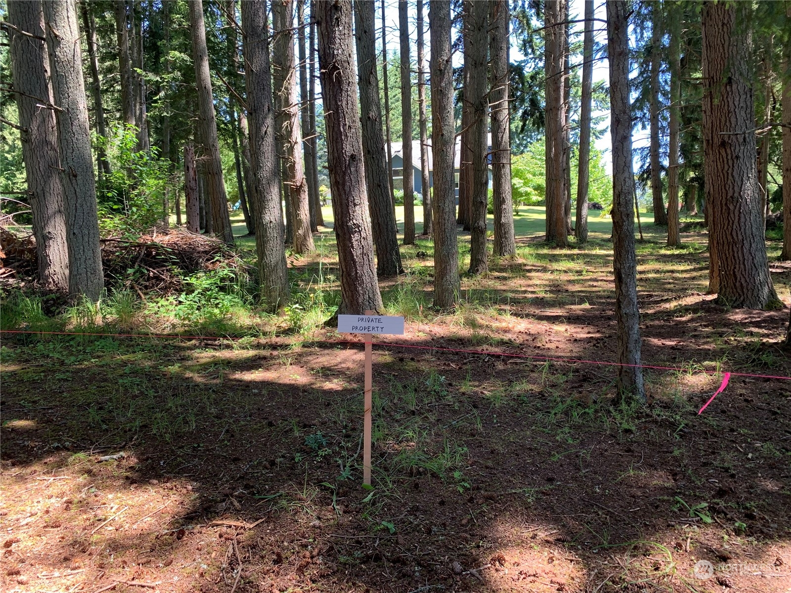 7755 Finch Road Northeast Bainbridge Island, WA 98110 - Photo 25 of 25 a backyard of a house with lots of green space