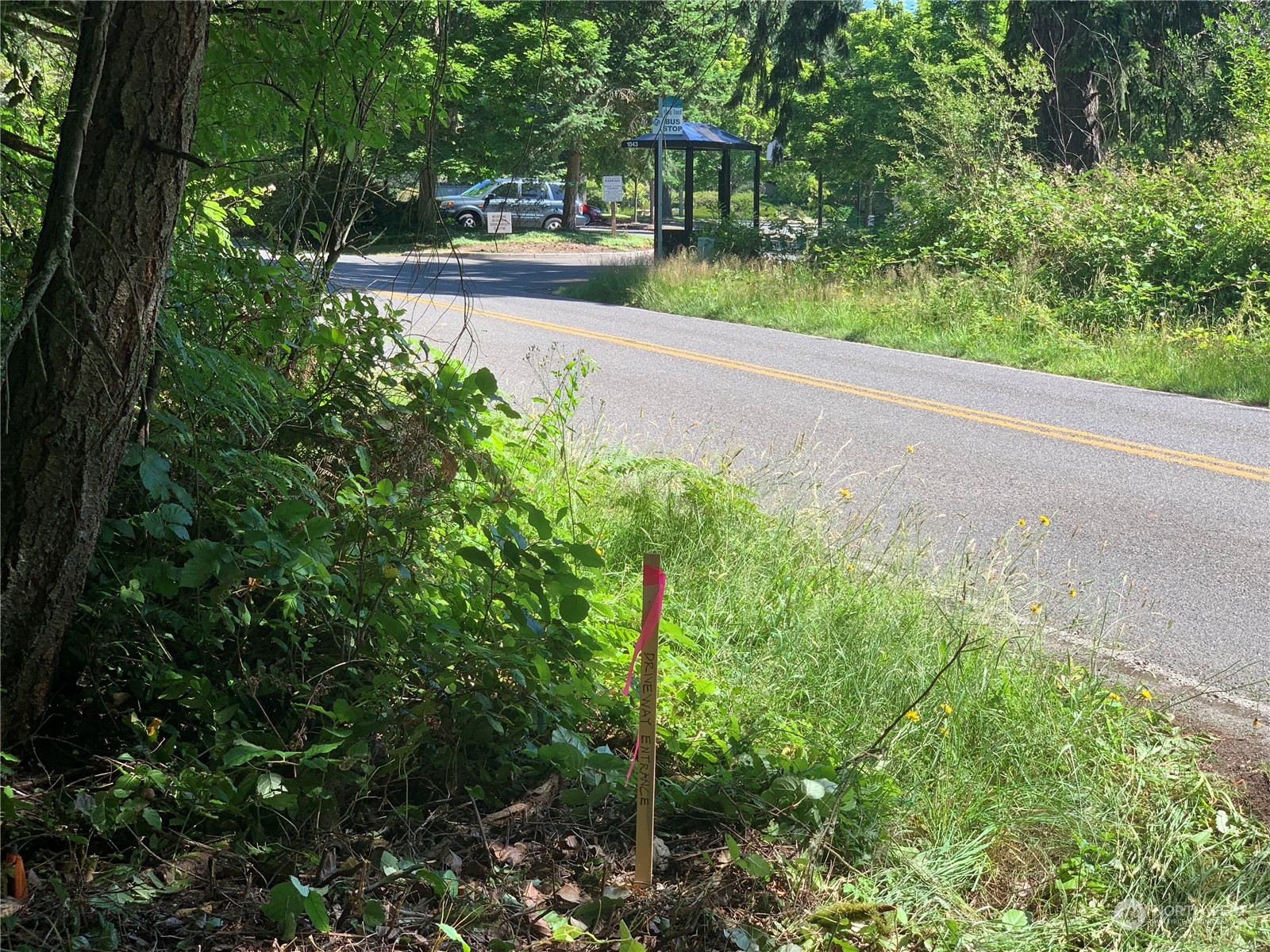 7755 Finch Road Northeast Bainbridge Island, WA 98110 - Photo 4 of 25 a view of a garden with a bench