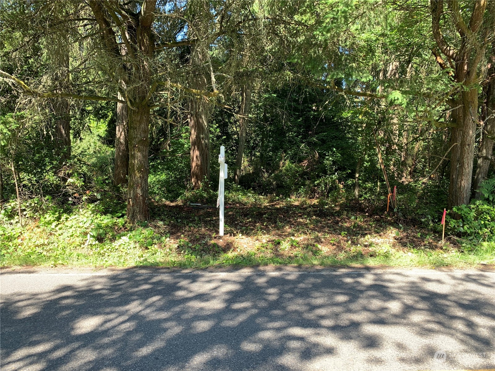 7755 Finch Road Northeast Bainbridge Island, WA 98110 - Photo 5 of 25 a view of a tree with a yard