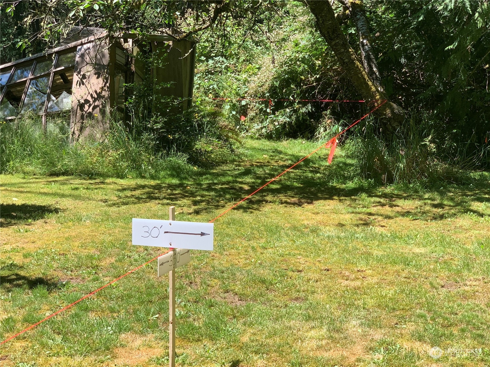 7755 Finch Road Northeast Bainbridge Island, WA 98110 - Photo 9 of 25 a view of a yard with plants