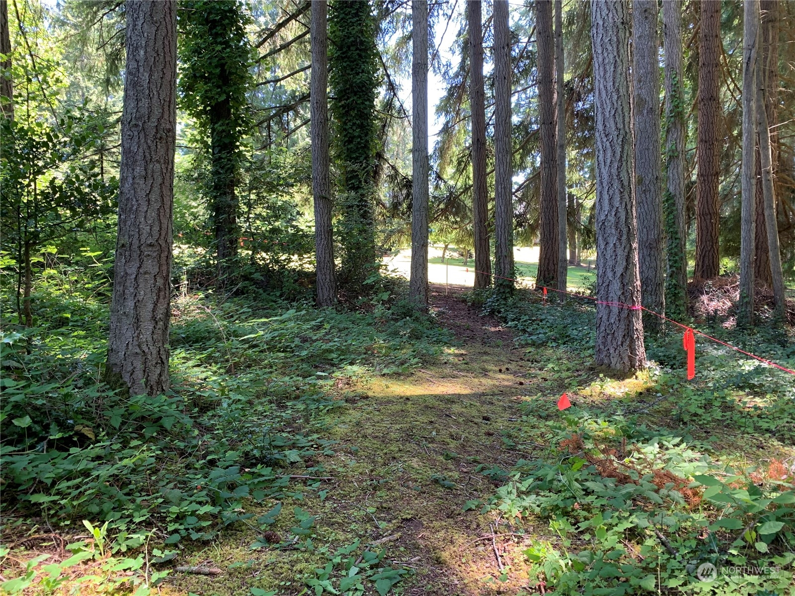 7755 Finch Road Northeast Bainbridge Island, WA 98110 - Photo 10 of 25