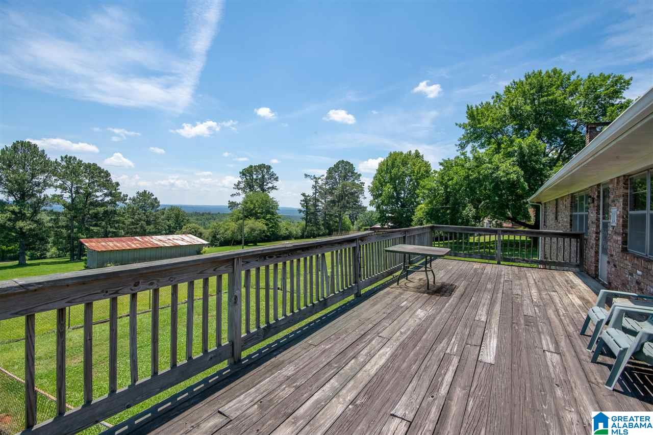 5041 South Shades Crest Road Helena, AL 35022 - Photo 4 of 49