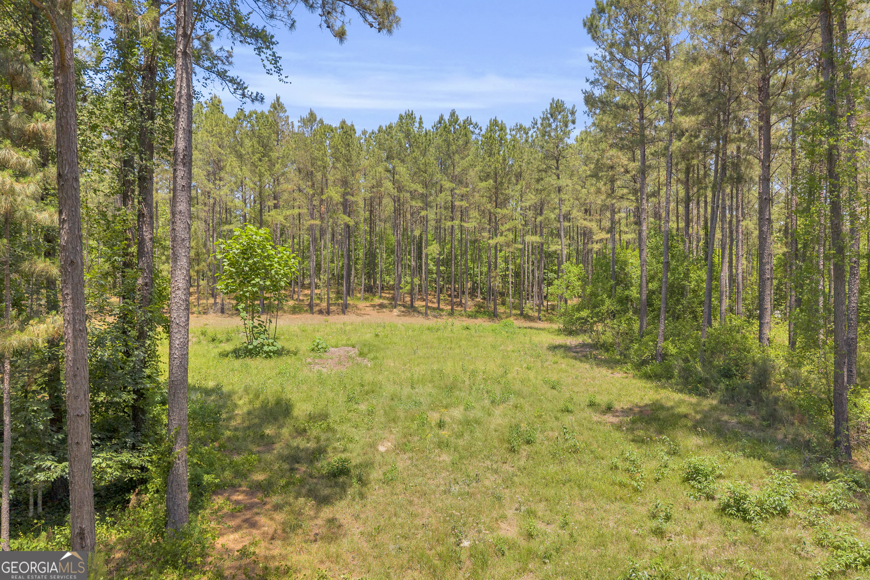 0 Hidden Harbor Road Lincolnton, GA 30817 - Photo 9 of 58