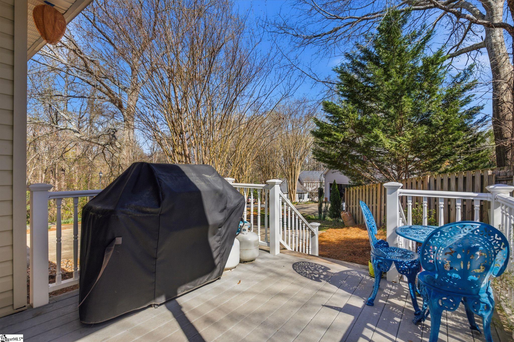 313 Squires Creek Road Simpsonville, SC 29681 - Photo 26 of 28