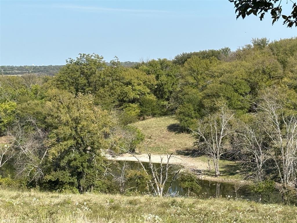 10350 Clear Creek Road West Sanger, TX 76266 - Photo 11 of 23 a view of ocean view