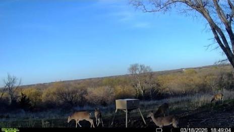 10350 Clear Creek Road West Sanger, TX 76266 - Photo 25 of 26