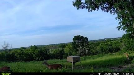 10350 Clear Creek Road West Sanger, TX 76266 - Photo 26 of 26 a view of a garden with plants and trees