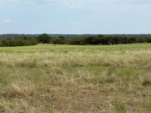 a view of a field with an ocean view