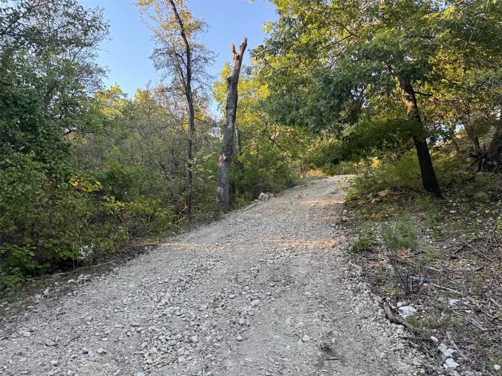 10350 Clear Creek Road West Sanger, TX 76266 - Photo 9 of 23 a view of a forest with trees in the background