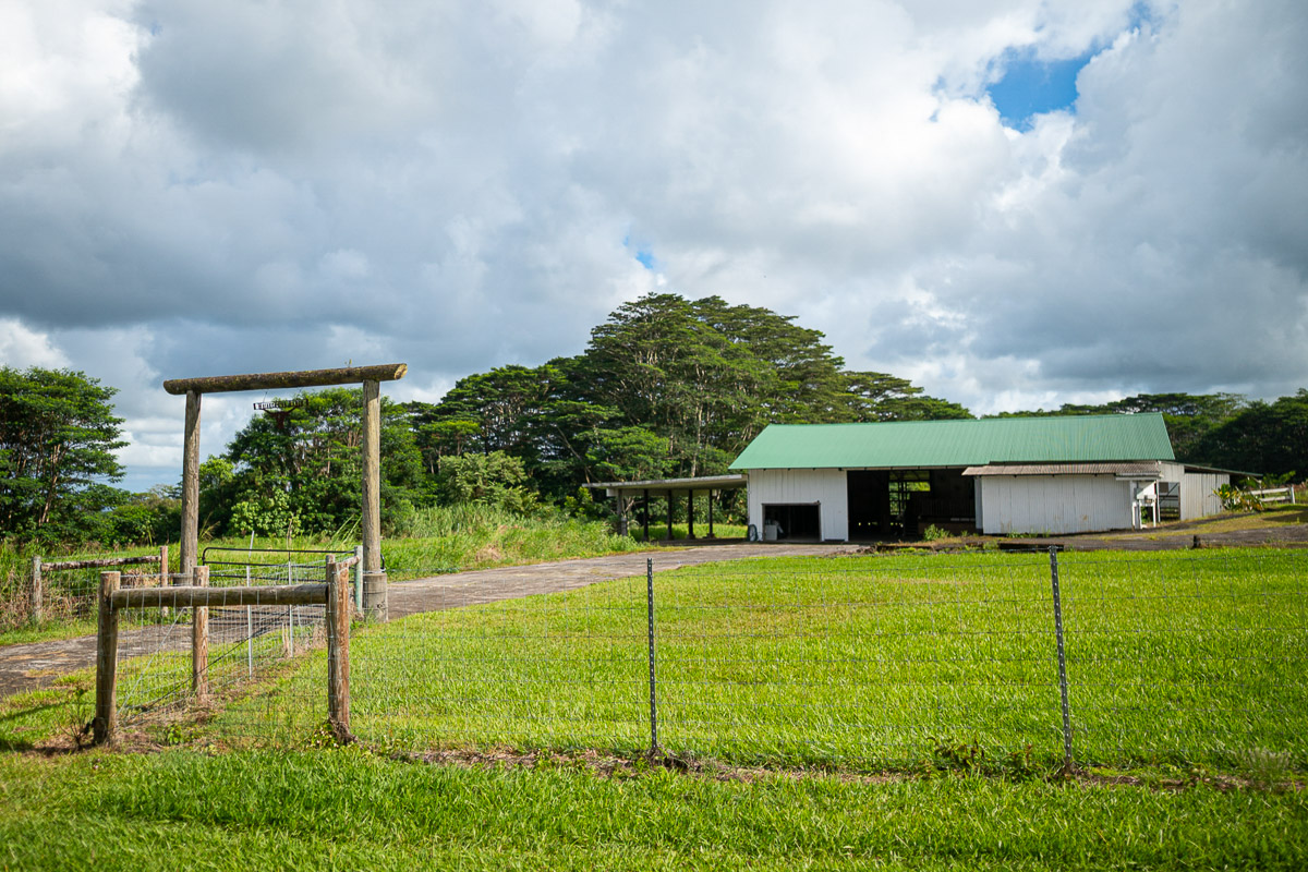 681 Lot 2-b Hoaka Road Hilo, HI 96720 - Photo 2 of 30 a view of a house with backyard and a garden