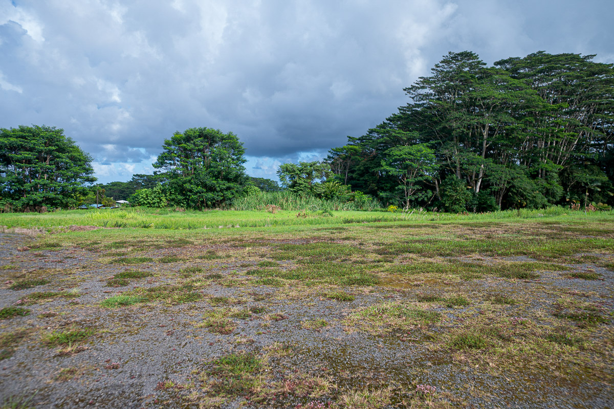 681 Lot 2-b Hoaka Road Hilo, HI 96720 - Photo 28 of 30 a view of a field with a tree in it