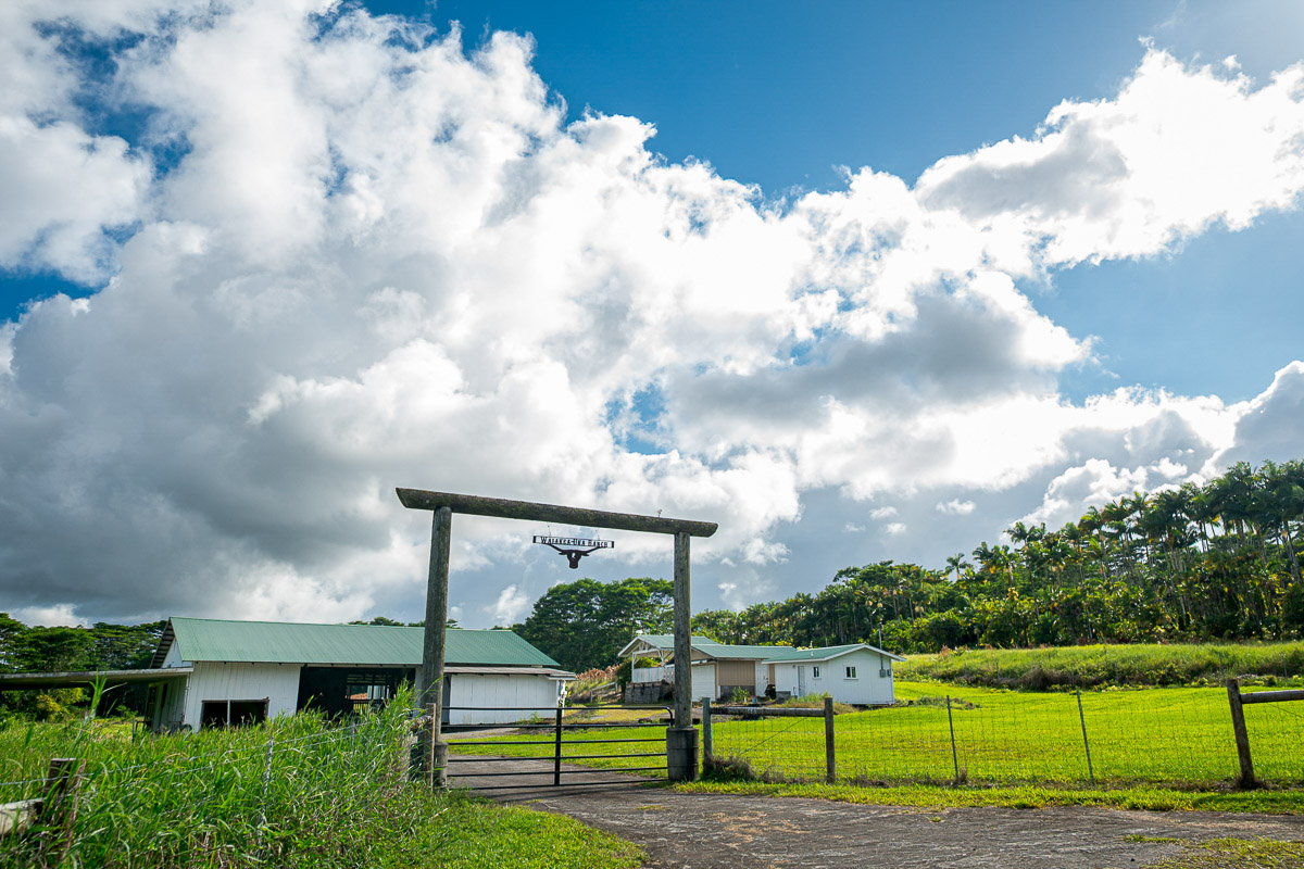 681 Lot 2-b Hoaka Road Hilo, HI 96720 - Photo 29 of 30 a view of a garden