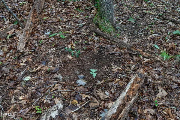 $530,880 | Tbd Tbd Ash Hopper Hollow, Erwin, TN 37650