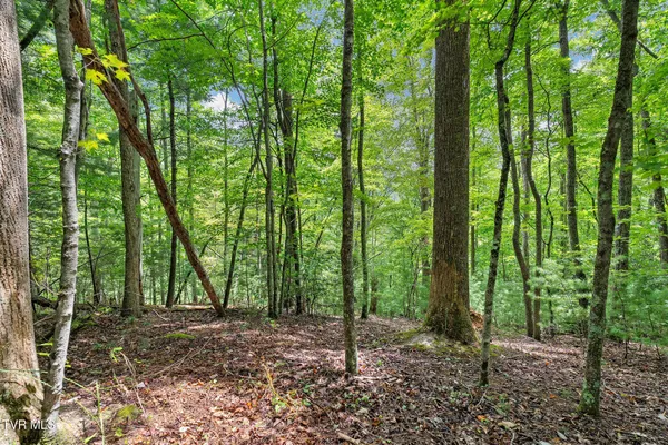 $530,880 | Tbd Tbd Ash Hopper Hollow, Erwin, TN 37650