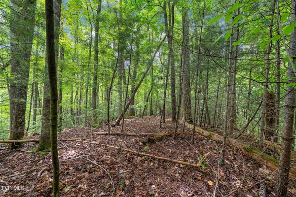 $530,880 | Tbd Tbd Ash Hopper Hollow, Erwin, TN 37650