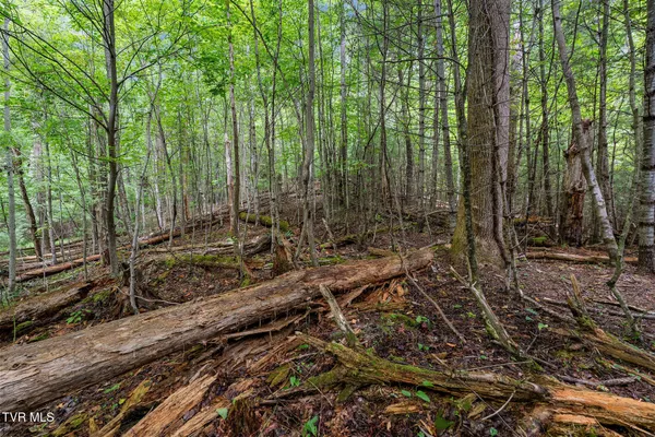 $530,880 | Tbd Tbd Ash Hopper Hollow, Erwin, TN 37650