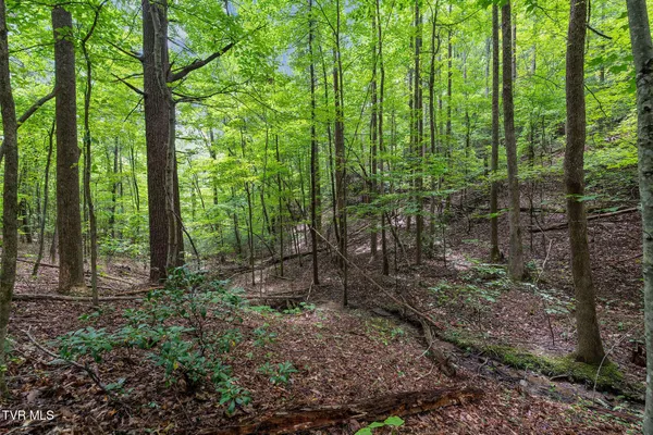 $530,880 | Tbd Tbd Ash Hopper Hollow, Erwin, TN 37650