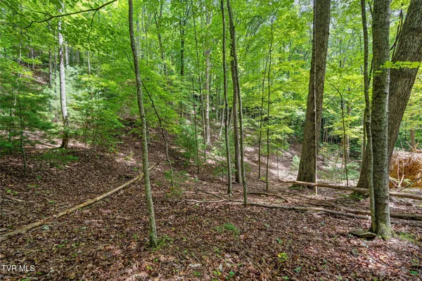 $530,880 | Tbd Tbd Ash Hopper Hollow, Erwin, TN 37650