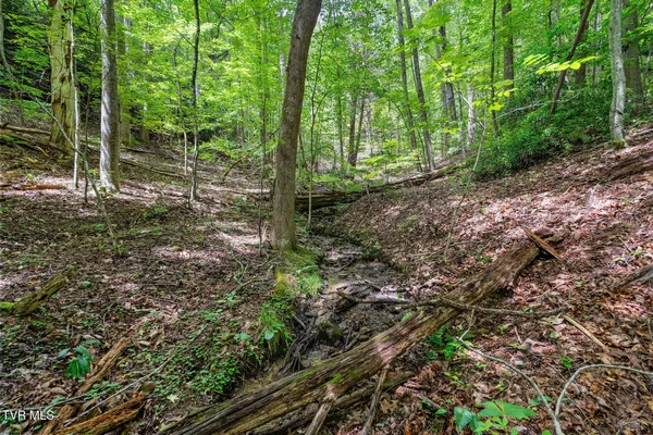 $530,880 | Tbd Tbd Ash Hopper Hollow, Erwin, TN 37650