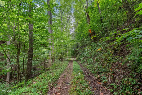 $530,880 | Tbd Tbd Ash Hopper Hollow, Erwin, TN 37650
