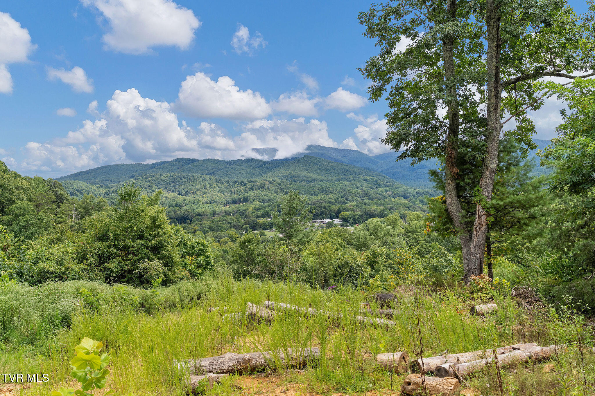 Tbd Tbd Ash Hopper Hollow Erwin, TN 37650 - Photo 21 of 21 DSC07343