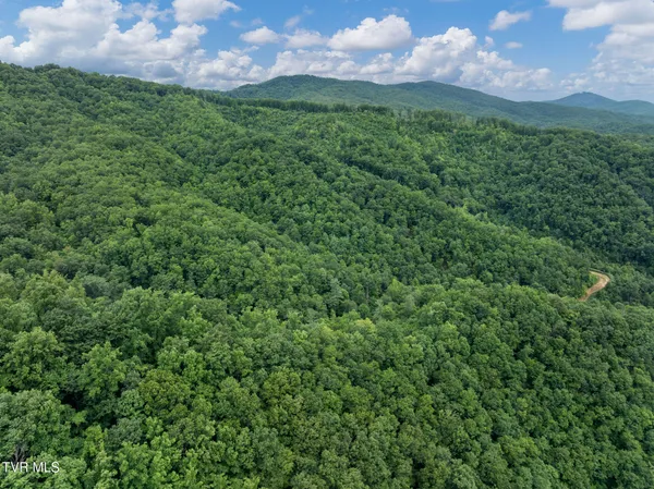 $530,880 | Tbd Tbd Ash Hopper Hollow, Erwin, TN 37650