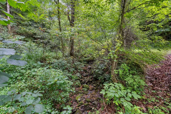 $530,880 | Tbd Tbd Ash Hopper Hollow, Erwin, TN 37650