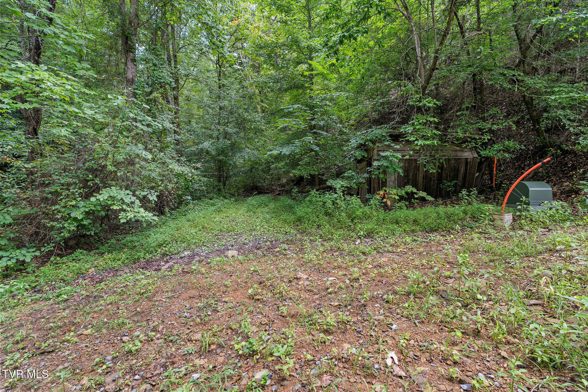 Tbd Tbd Ash Hopper Hollow Erwin, TN 37650 - Photo 7 of 21 DSC07278