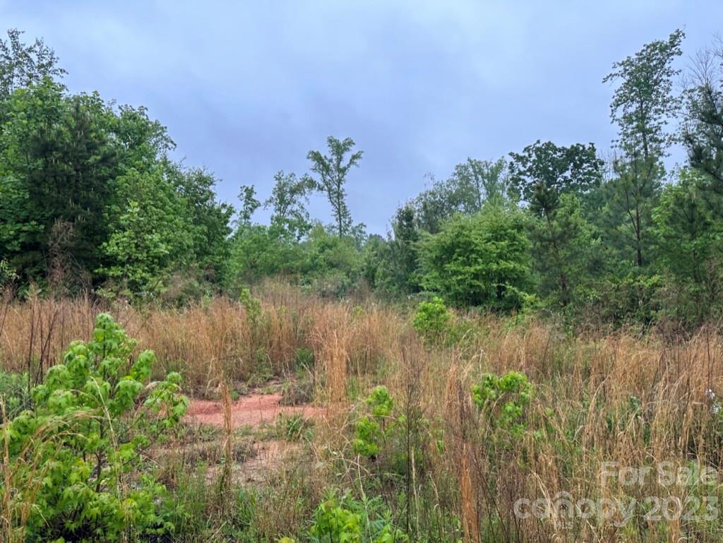 0 North Chapel Street Landis, NC 28088 - Photo 11 of 43 a view of a lake view with a garden