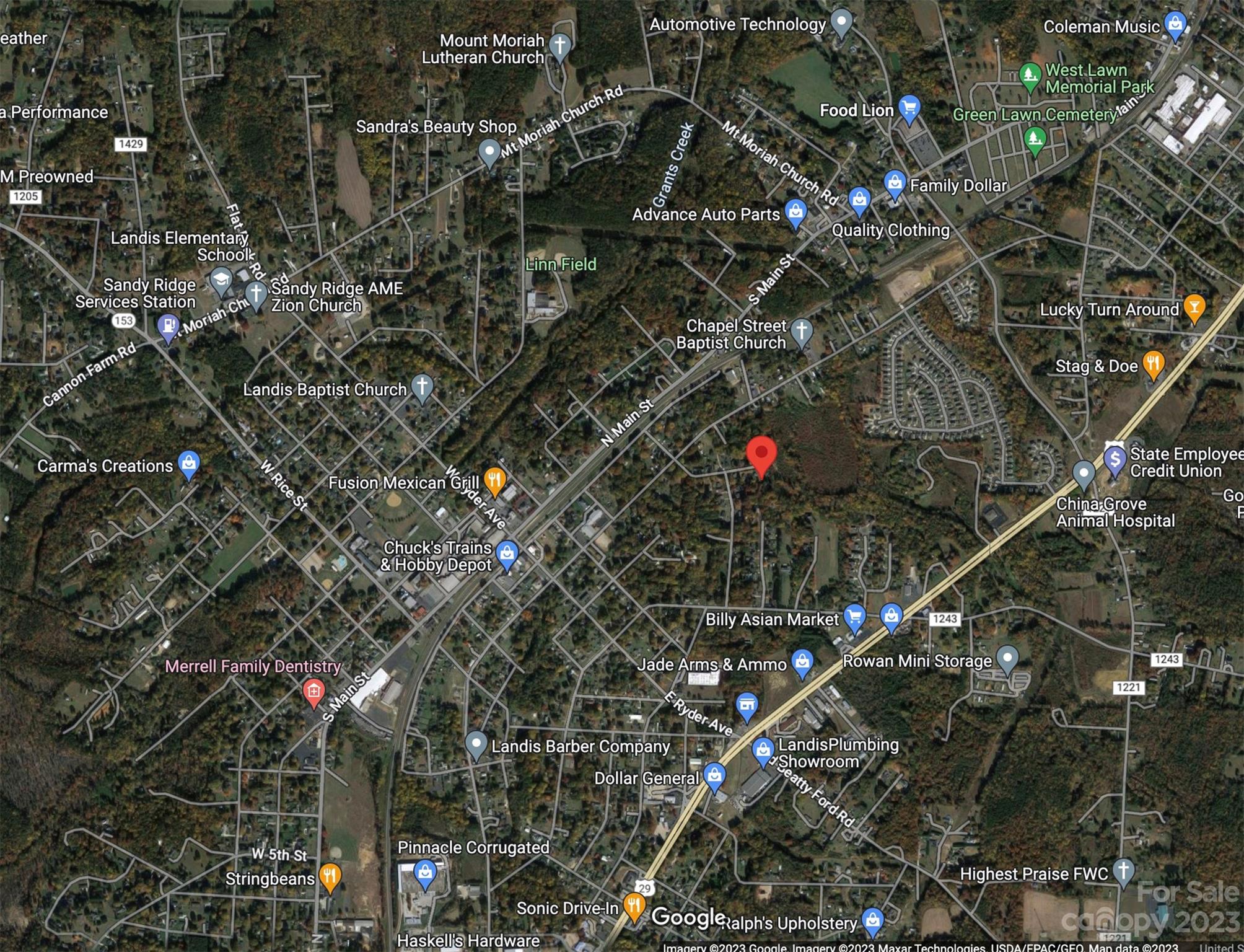 0 North Chapel Street Landis, NC 28088 - Photo 19 of 43 a picture of tree