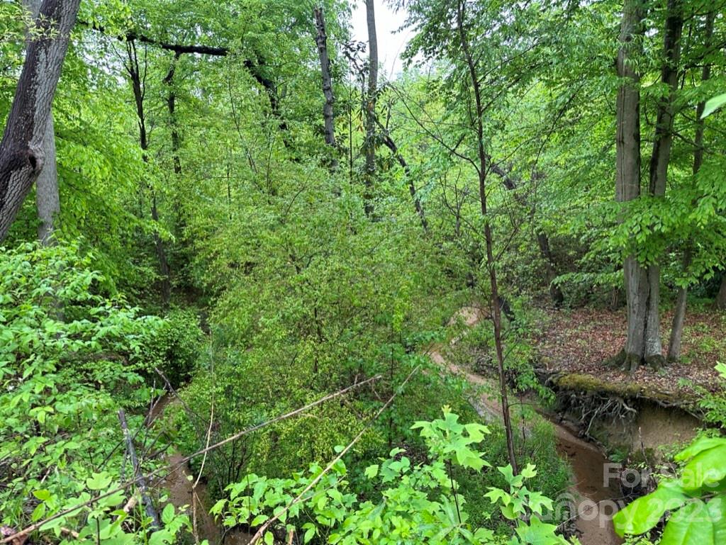 0 North Chapel Street Landis, NC 28088 - Photo 22 of 43 a view of a lush green forest with lots of trees