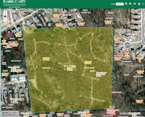 a close up of a plant in a bathroom